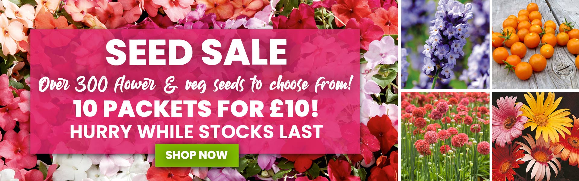 Suttons: Vegetable Seeds, Flowers & Bedding Plants Online | Suttons