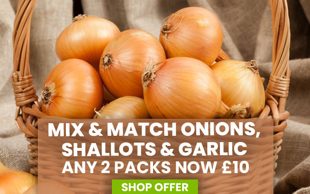 Mix & Match Onions, Garlic & Shallots!