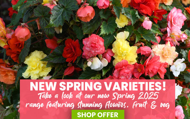 Spring - New Range