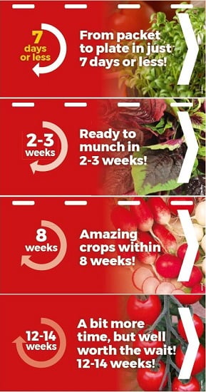 New products on the Pea and Bean Stand