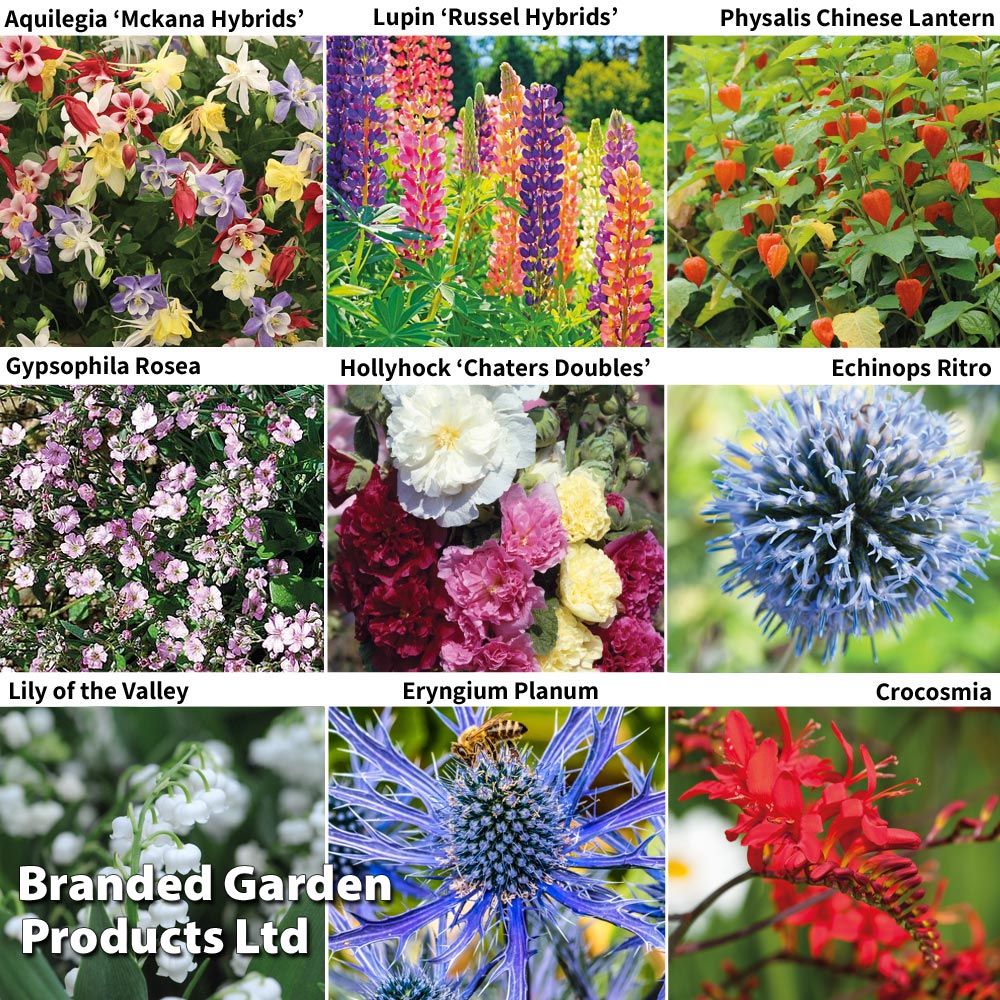 Perennial Saver Collection | Suttons