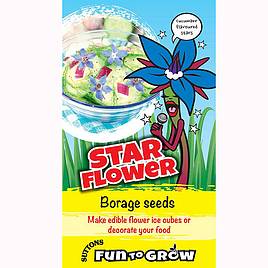 Borage Star Flower - Seeds