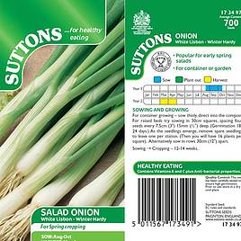 Onion (Salad) White Lisbon - Winter Hardy Seeds