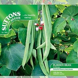 Runner Bean St George - Seeds