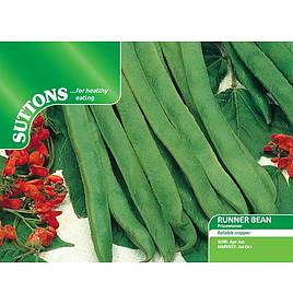 Runner Bean Prizewinner - Seeds