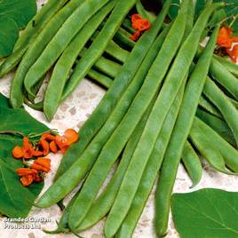 Runner Bean Armstrong - Seeds