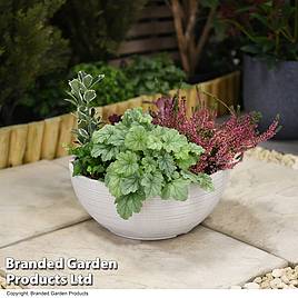 Bayadere Bowl Planter Light Grey