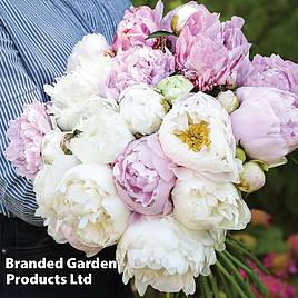 Peony Scented Bouquet Mix