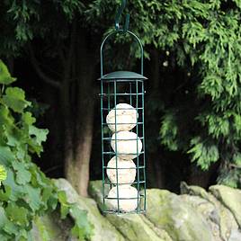 Kingfisher Green Powder Coated Suet Fat Ball Bird Feeder