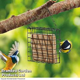 Nature’s Market Suet Cake Bird Feeder