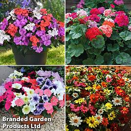 Garden Ready Container Collection