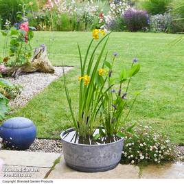 Patio Pond Plant Basket