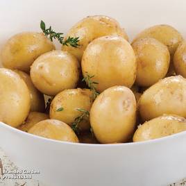 Potato Maris Peer