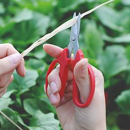 Garden Scissors