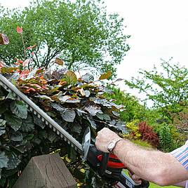 Cobra 24v Cordless Hedgetrimmer