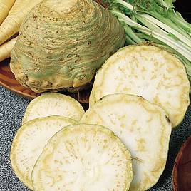 Celeriac Monarch - Seeds