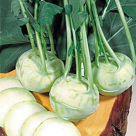 Kohlrabi Noriko (Organic) - Seeds