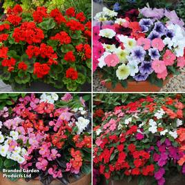 Summer Bedding Saver Collection