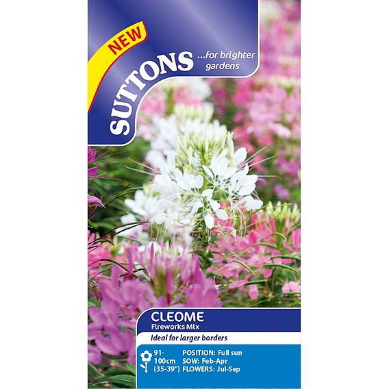 Cleome 'Fireworks Mix' - Seeds