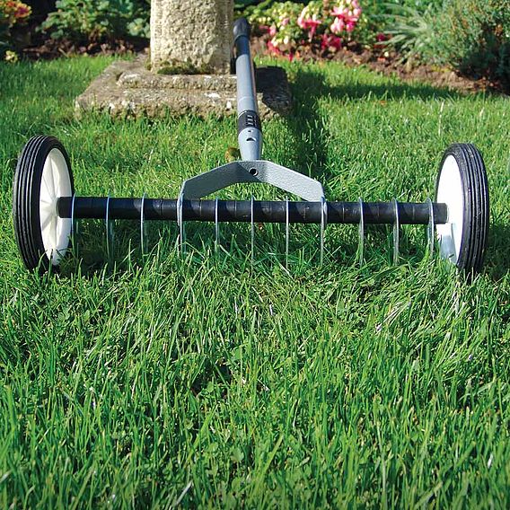 Lawn Scarifier | Suttons