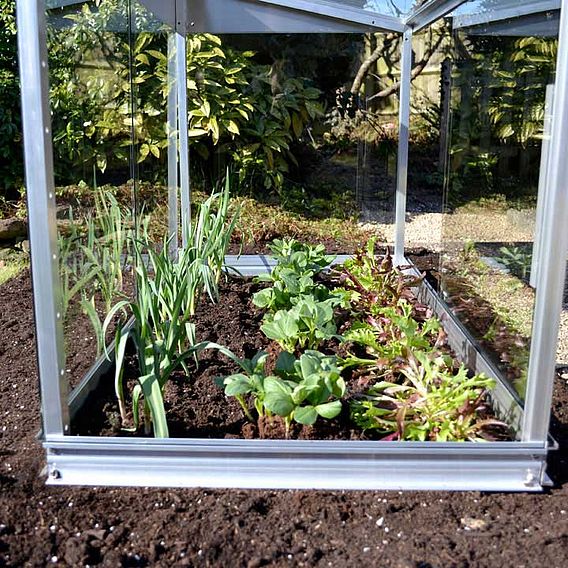 Half Cold Frame