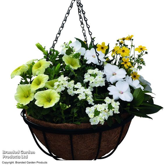 Garden Grow Hanging Basket & Liner