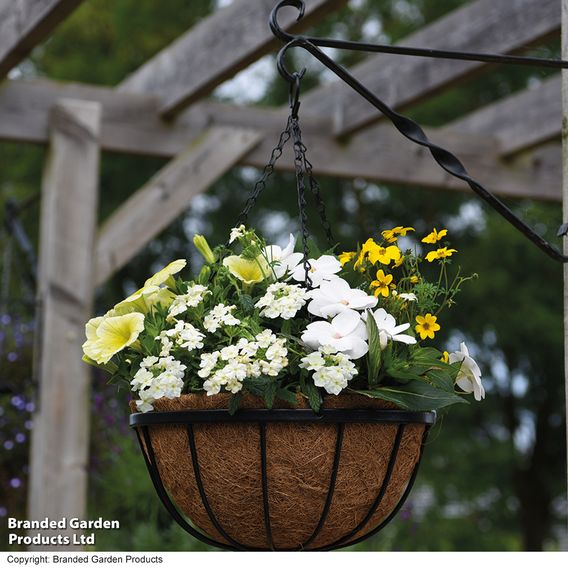 Garden Grow Hanging Basket & Liner