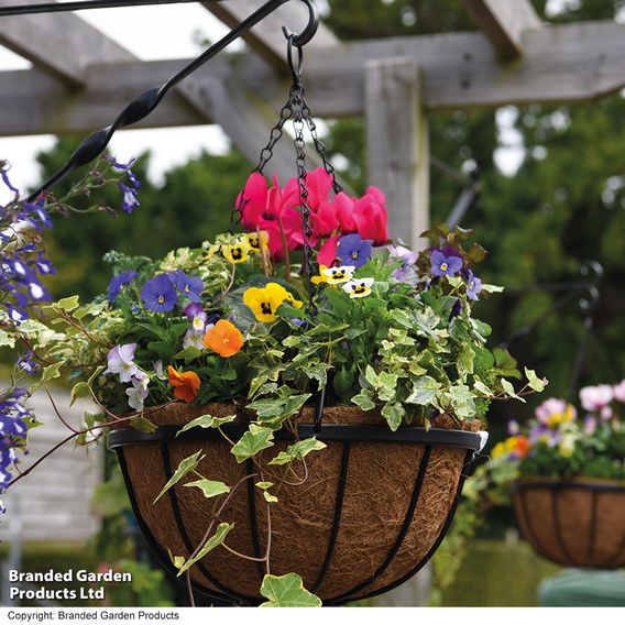 Garden Grow Hanging Basket & Liner