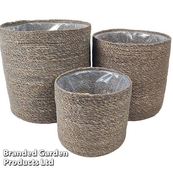 Chia Seagrass Planter Basket