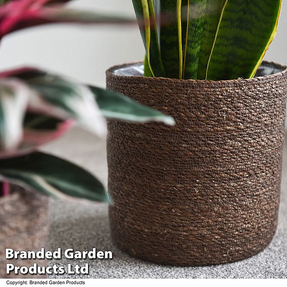 Chia Seagrass Planter Basket