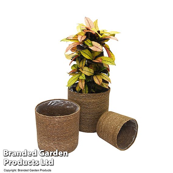 Chia Seagrass Planter Basket