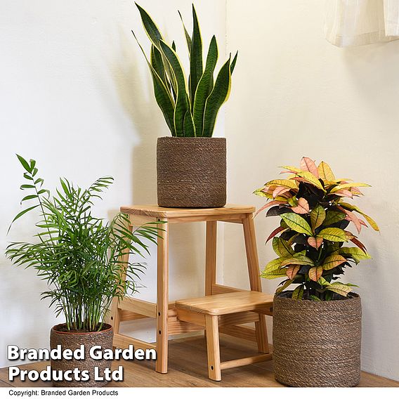 Chia Seagrass Planter Basket