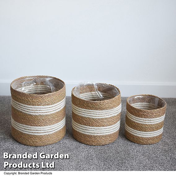 Natural Seagrass + Jute Planter Basket