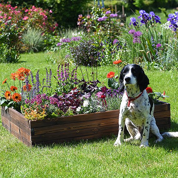 Garden Gear Wooden Raised Garden Bed - Gift