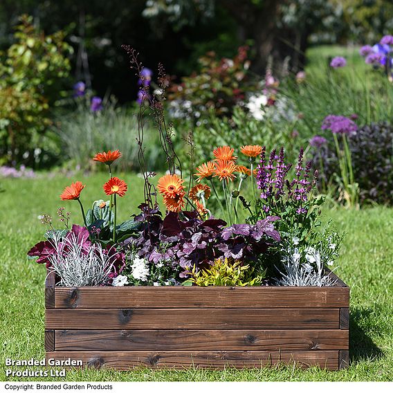 Garden Gear Wooden Raised Garden Bed - Gift