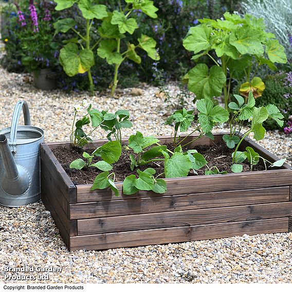 Garden Gear Wooden Raised Garden Bed - Gift