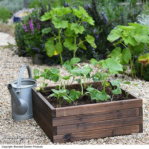 Garden Gear Wooden Raised Garden Bed - Gift