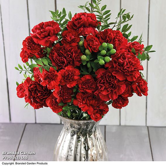 Christmas Bouquet - Gift