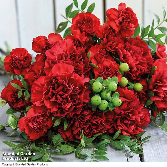 Christmas Bouquet - Gift