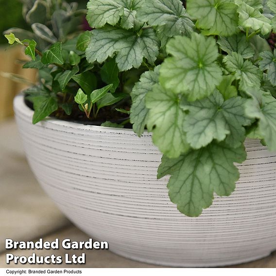 Bayadere Bowl Planter Light Grey