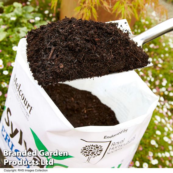 RHS SylvaGrow Ericaceous Compost