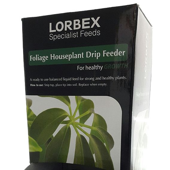 Foliage Houseplant Drip Feeder