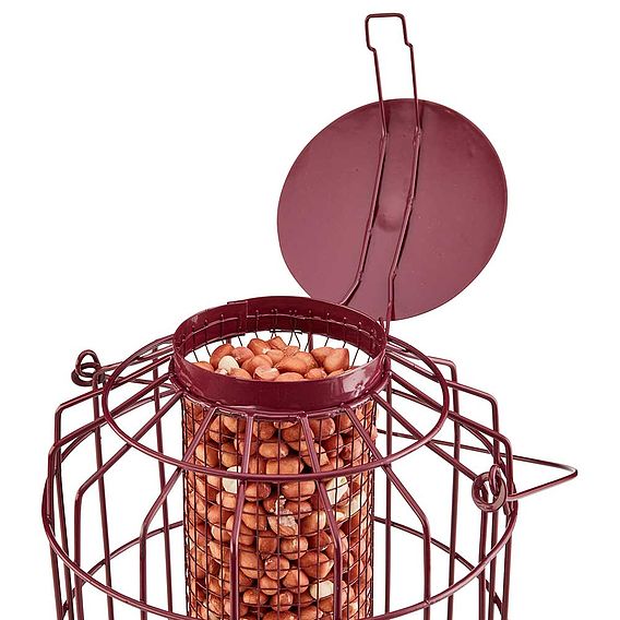 Nature’s Market Nut Feeder with Squirrel Guard