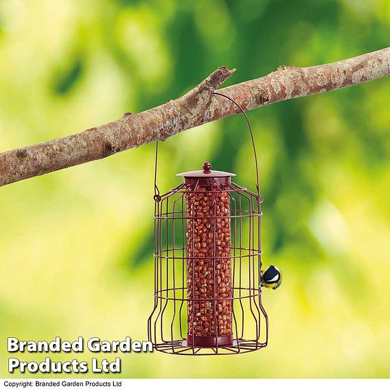 Nature’s Market Nut Feeder with Squirrel Guard