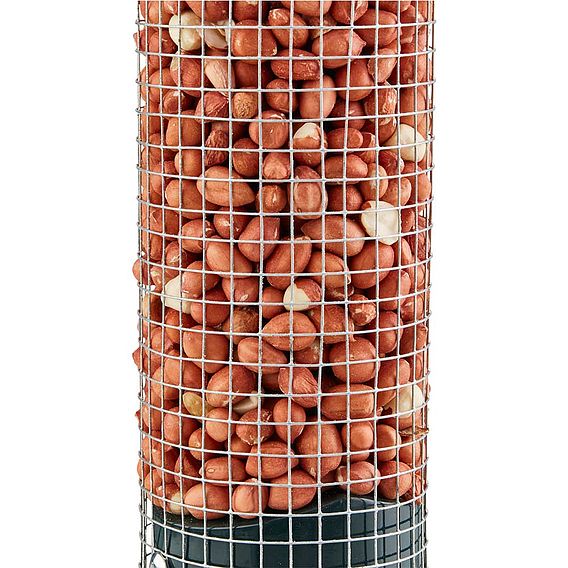 Nature's Market Wild Bird Nut Feeder