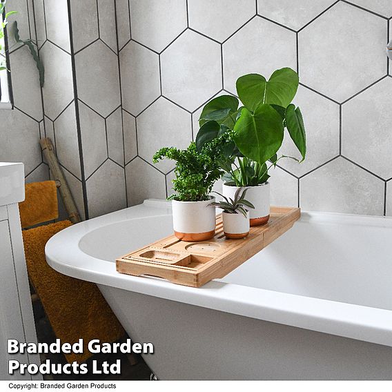 Green Houseplants Bathroom Trio