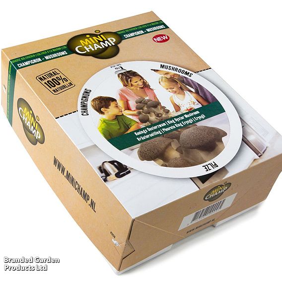 Windowsill Mushroom Growing Kit - Gift