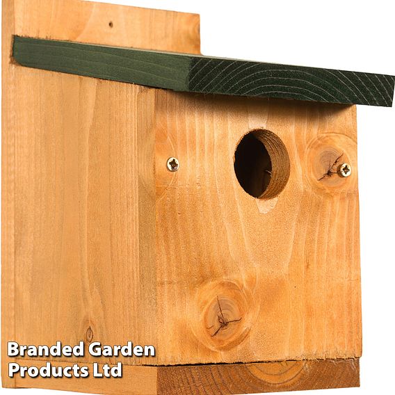 Classic Nest Box with Green Roof