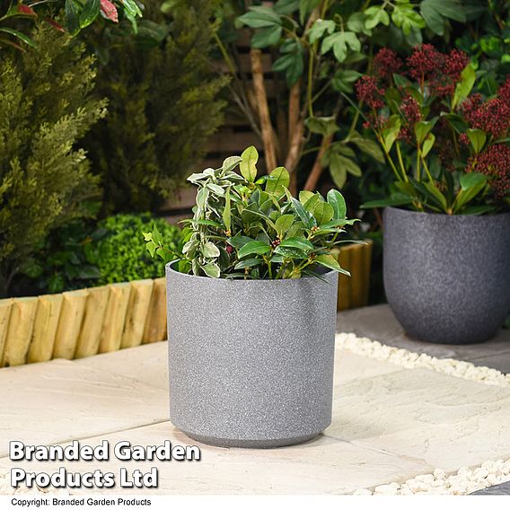 Grey Cylinder Planter