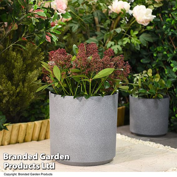 Grey Cylinder Planter